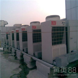 上海文体商城 全民健康与文化生活的璀璨明珠